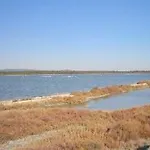 Hotel Point Bleu Sete 2*
